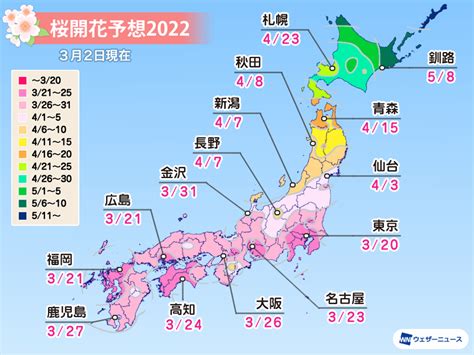 開花|桜開花予想【2024】｜ウェザーニュー